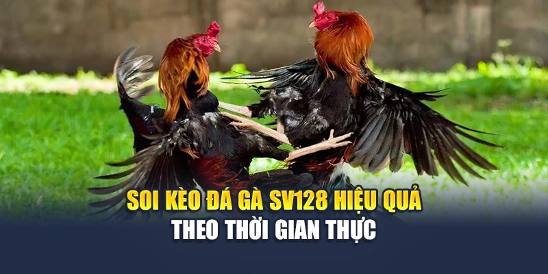 Đá Gà Sv128 Chất Lượng Cao, Kèo Rõ Ràng Tại Nhà Cái M88 3 Soi kèo đá gà Sv128 M88 hiệu quả theo thời gian thực