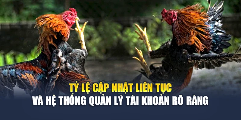 Đá Gà Campuchia Trực Tiếp Mỗi Ngày, Tỷ Lệ Rõ Ràng Tại M88 2 Tỷ lệ cập nhật liên tục và hệ thống quản lý tài khoản rõ ràng